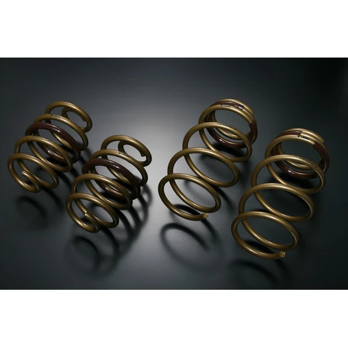 Tein High Tech Springs For Nissan Leaf